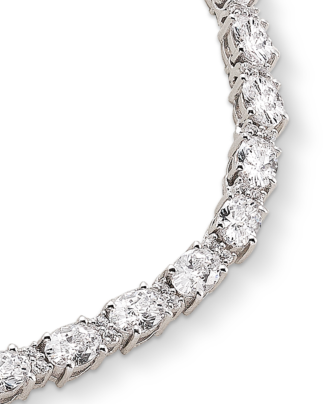 COLLAR OVAL CIRCONITAS